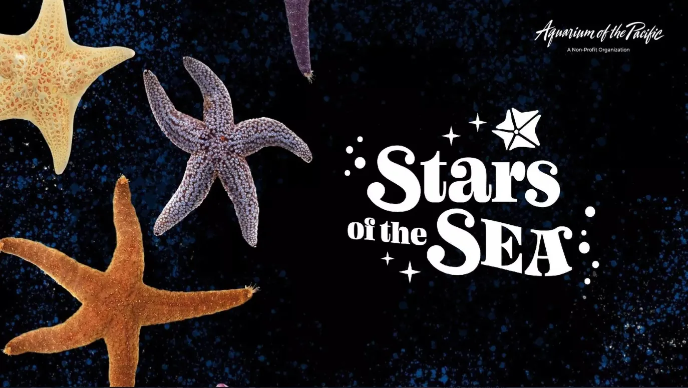 Aquarium of the Pacific — discounted tickets at 100 Aquarium Way, Long Beach, CA 90802